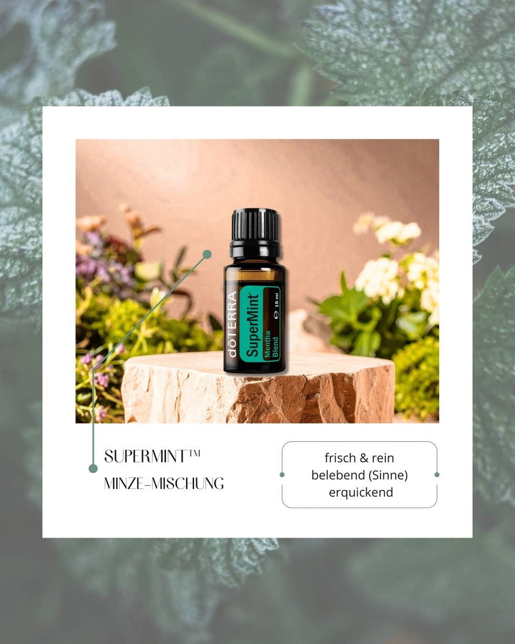 SuperMint™ - Minze-Mischung | ätherisches Öl (doTERRA)