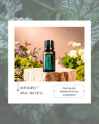 SuperMint™ - Minze-Mischung | ätherisches Öl (doTERRA)