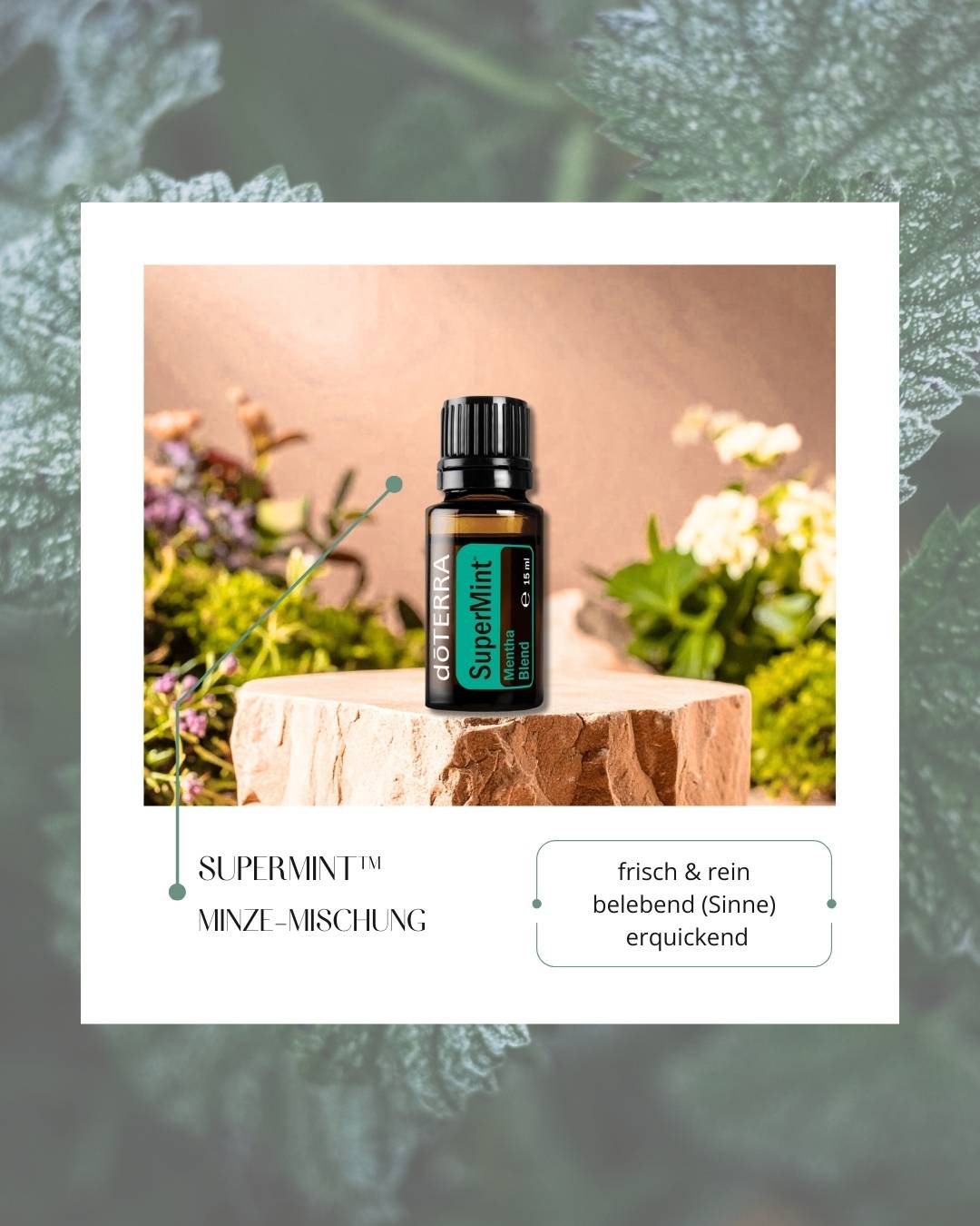 SuperMint™ - Minze-Mischung | ätherisches Öl (doTERRA)