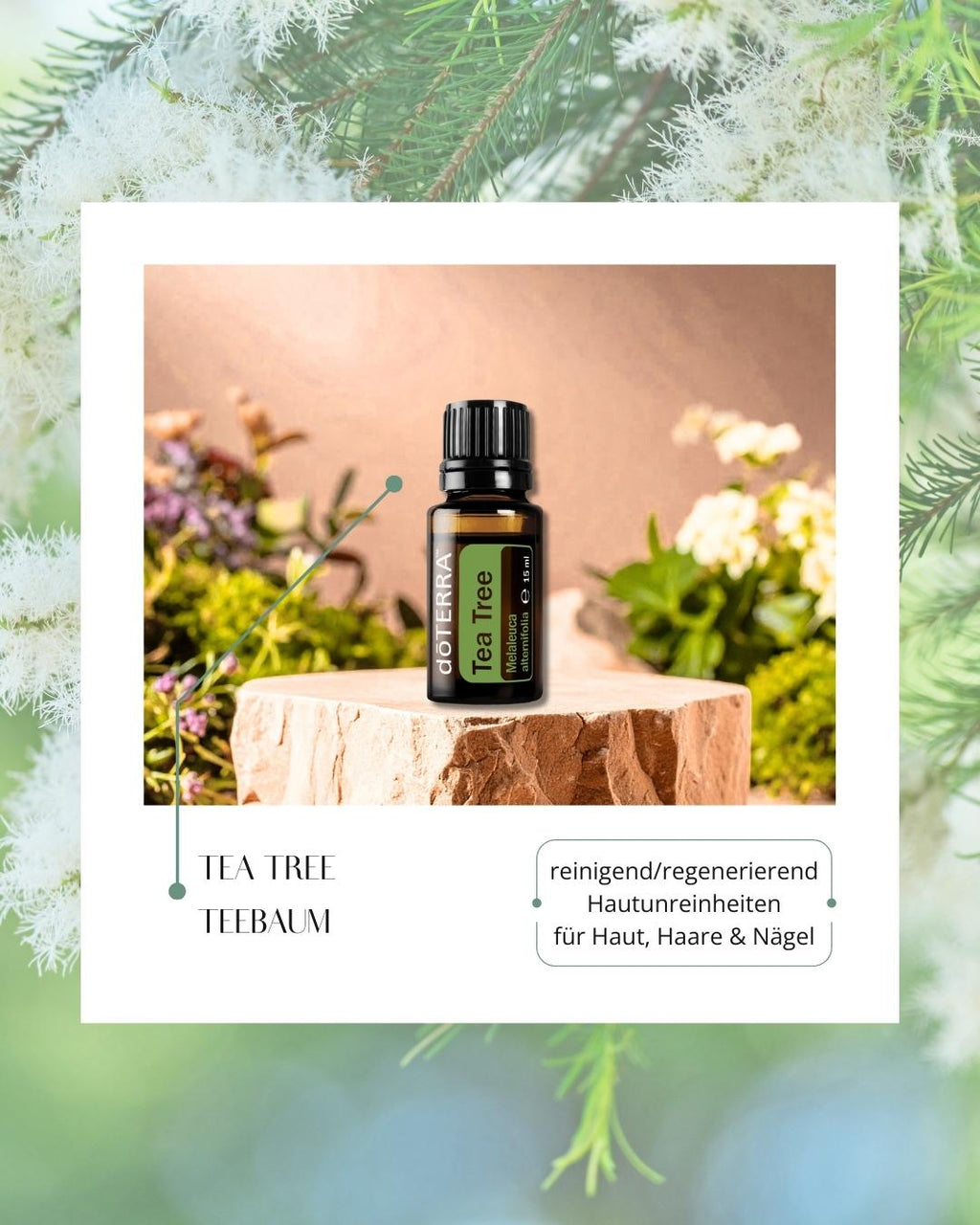 Tea Tree - Teebaum | ätherisches Öl (doTERRA)