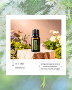 Tea Tree - Teebaum | ätherisches Öl (doTERRA)