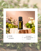 Thyme - Thymian | ätherisches Öl (doTERRA)