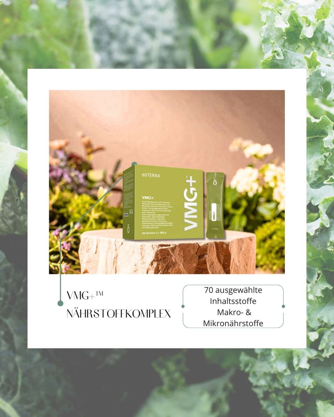 VMG+™ Nährstoffkomplex | Nahrungsergänzung (doTERRA)
