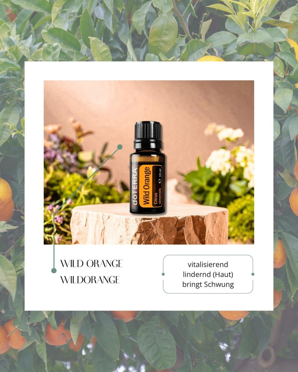 Wild Orange - Wildorange | ätherisches Öl (doTERRA)