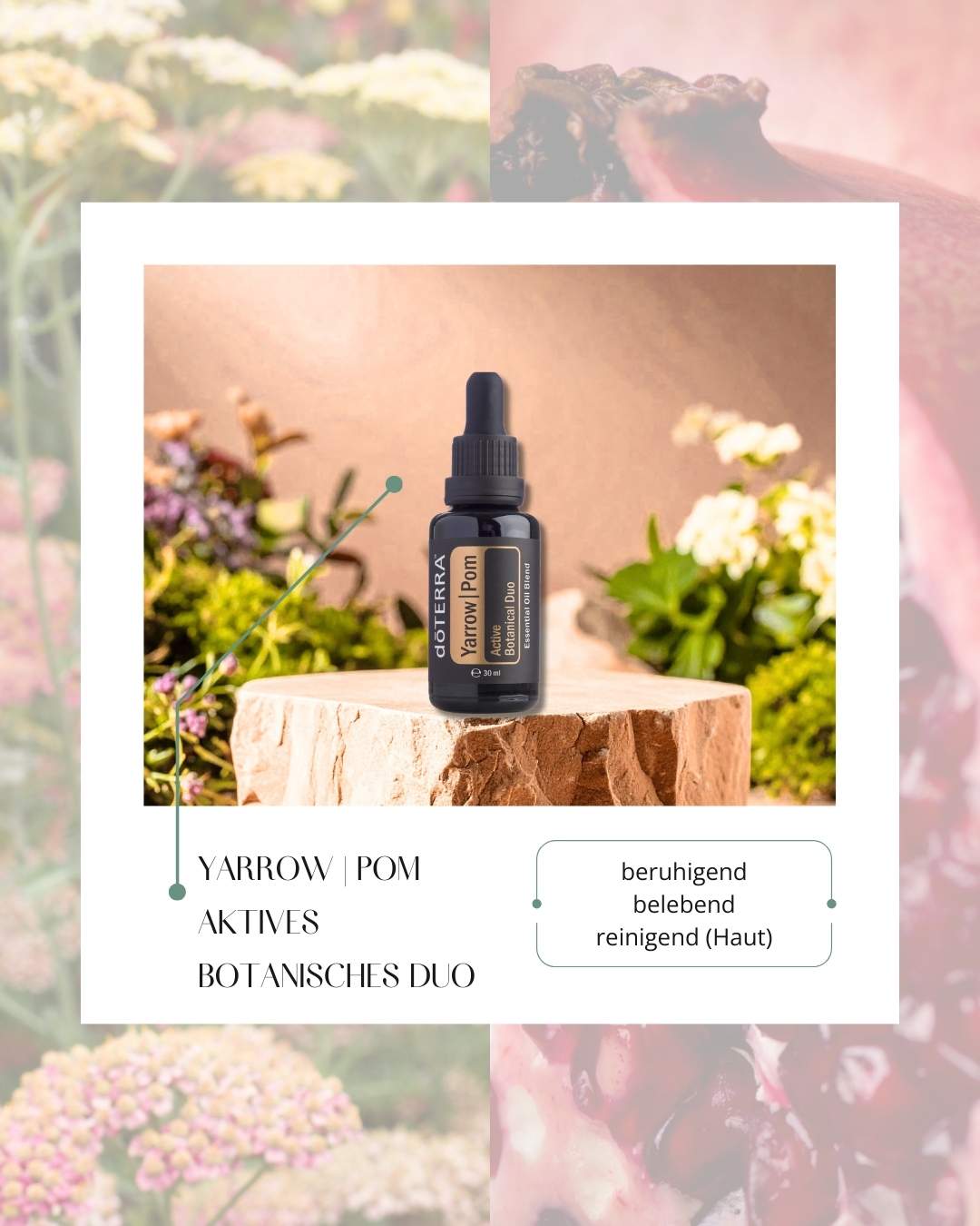 Yarrow Pom | ätherisches Öl (doTERRA)