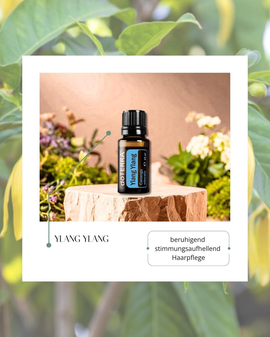 Ylang Ylang | ätherisches Öl (doTERRA)
