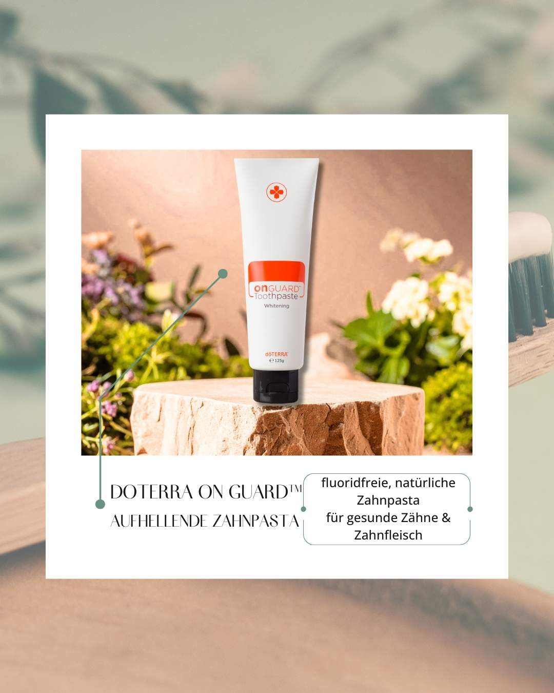 Zahnpasta | On Guard