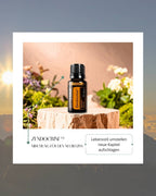Zendocrine™ Mischung für den Neubeginn | ätherisches Öl (doTERRA)