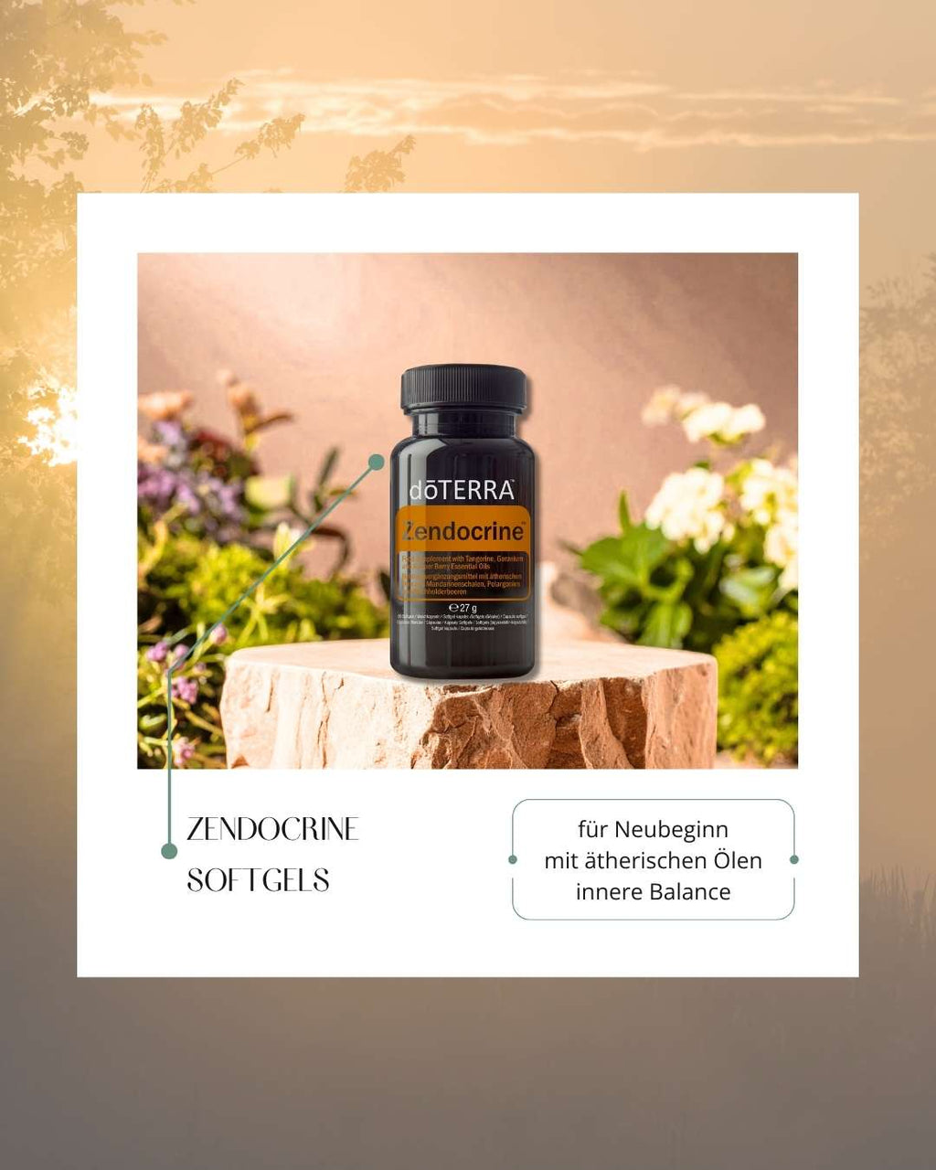 Zendocrine™ Softgels | Nahrungsergänzung (doTERRA)